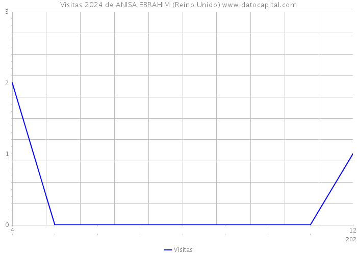 Visitas 2024 de ANISA EBRAHIM (Reino Unido) 