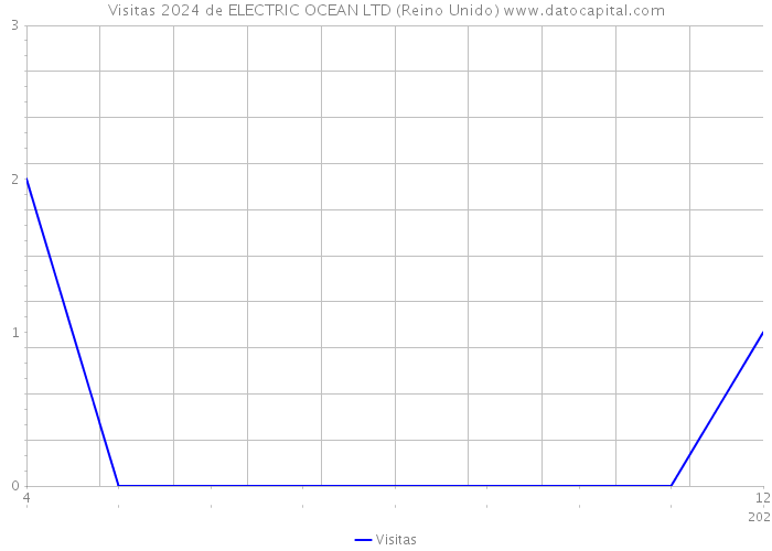 Visitas 2024 de ELECTRIC OCEAN LTD (Reino Unido) 