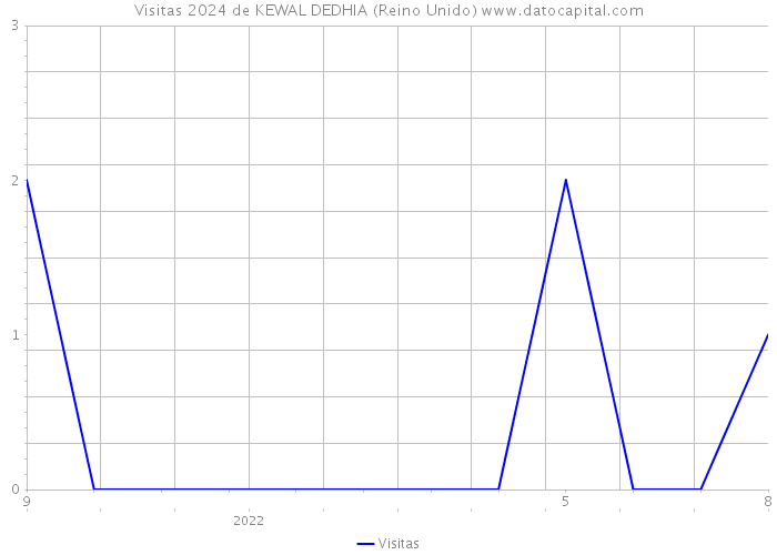 Visitas 2024 de KEWAL DEDHIA (Reino Unido) 