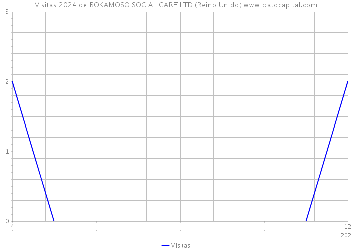 Visitas 2024 de BOKAMOSO SOCIAL CARE LTD (Reino Unido) 