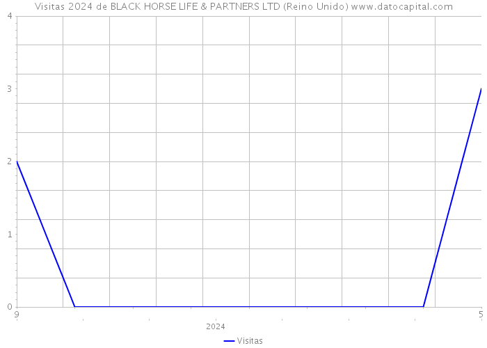 Visitas 2024 de BLACK HORSE LIFE & PARTNERS LTD (Reino Unido) 