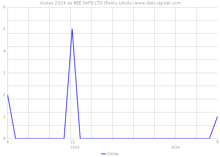 Visitas 2024 de BEE SAFE LTD (Reino Unido) 