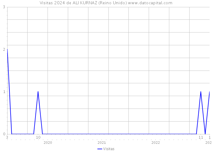 Visitas 2024 de ALI KURNAZ (Reino Unido) 