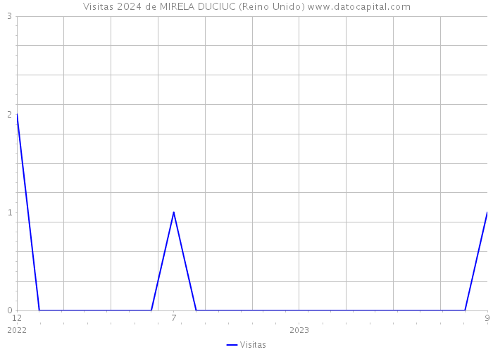 Visitas 2024 de MIRELA DUCIUC (Reino Unido) 