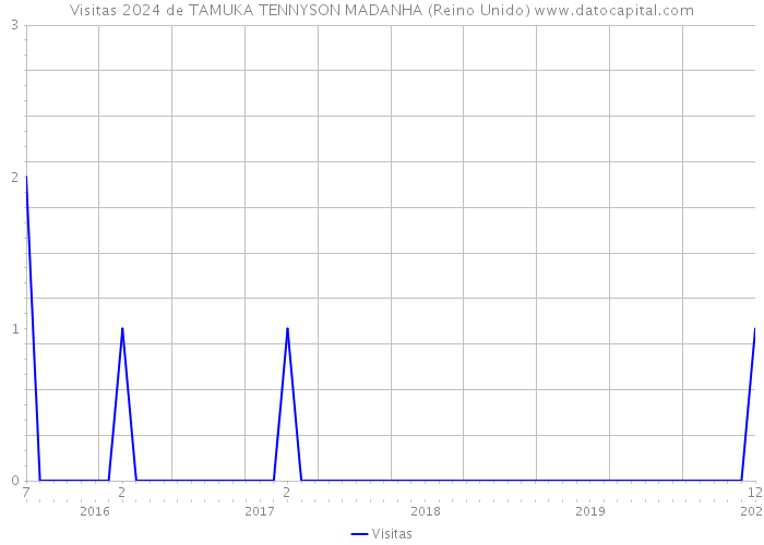 Visitas 2024 de TAMUKA TENNYSON MADANHA (Reino Unido) 