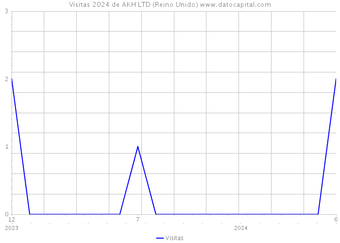 Visitas 2024 de AKH LTD (Reino Unido) 