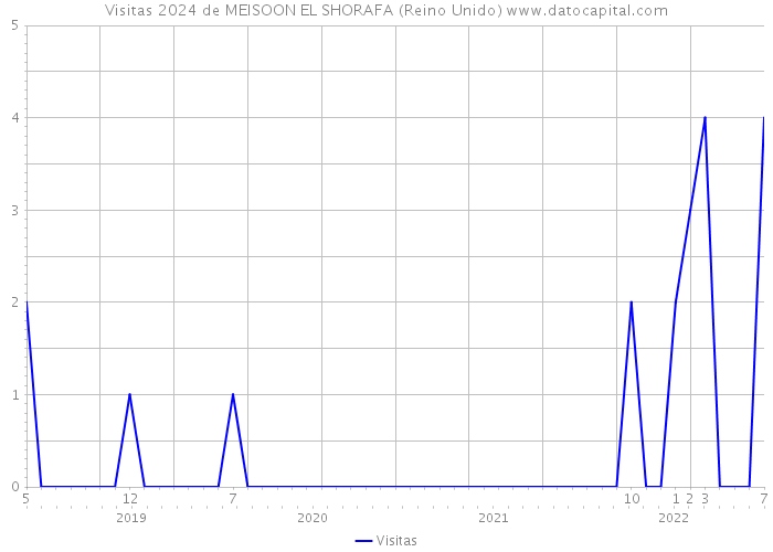 Visitas 2024 de MEISOON EL SHORAFA (Reino Unido) 