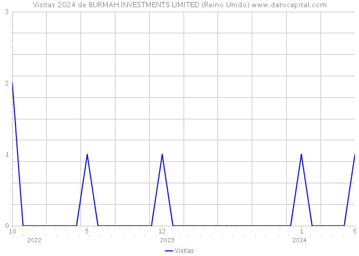 Visitas 2024 de BURMAH INVESTMENTS LIMITED (Reino Unido) 