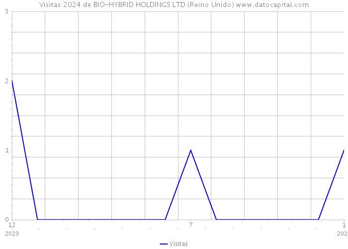 Visitas 2024 de BIO-HYBRID HOLDINGS LTD (Reino Unido) 