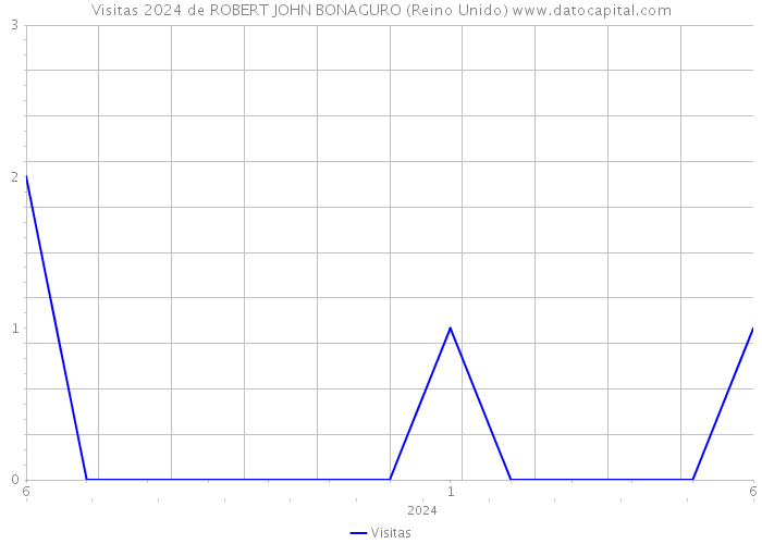 Visitas 2024 de ROBERT JOHN BONAGURO (Reino Unido) 