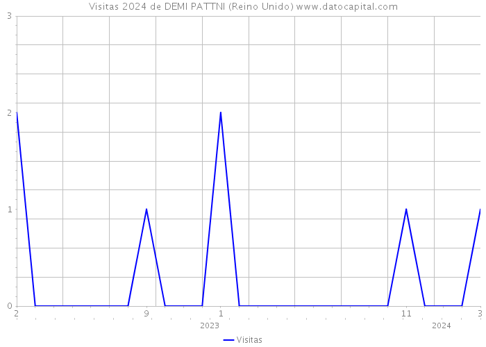 Visitas 2024 de DEMI PATTNI (Reino Unido) 