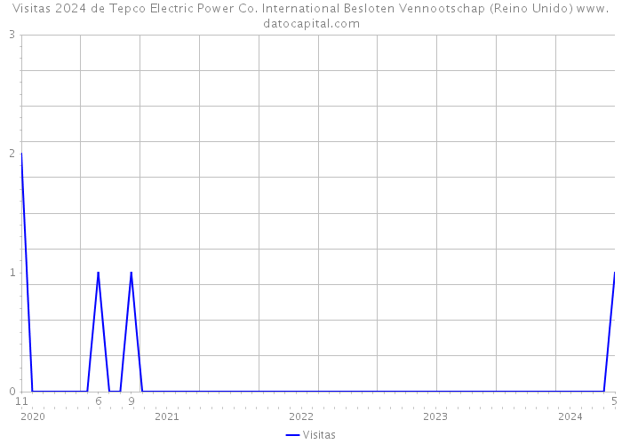 Visitas 2024 de Tepco Electric Power Co. International Besloten Vennootschap (Reino Unido) 