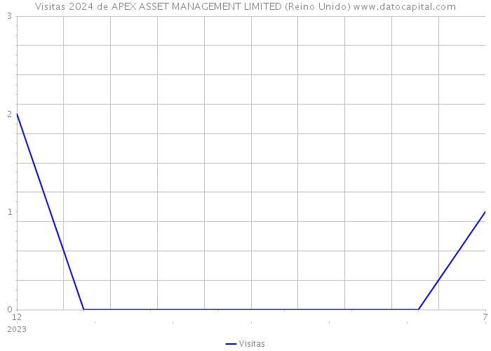 Visitas 2024 de APEX ASSET MANAGEMENT LIMITED (Reino Unido) 