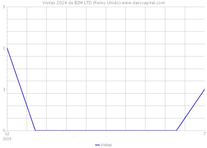 Visitas 2024 de BZM LTD (Reino Unido) 