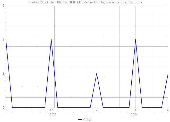 Visitas 2024 de TRICOR LIMITED (Reino Unido) 