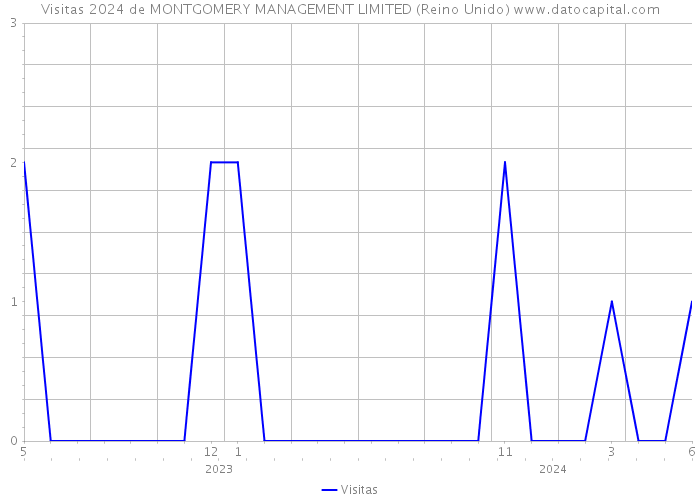 Visitas 2024 de MONTGOMERY MANAGEMENT LIMITED (Reino Unido) 