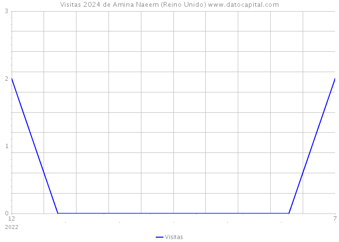 Visitas 2024 de Amina Naeem (Reino Unido) 