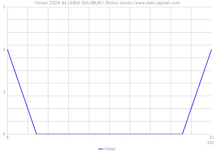 Visitas 2024 de LINDA SALISBURY (Reino Unido) 