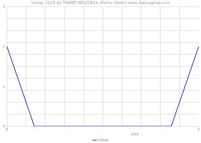 Visitas 2024 de TAMER SENGONUL (Reino Unido) 