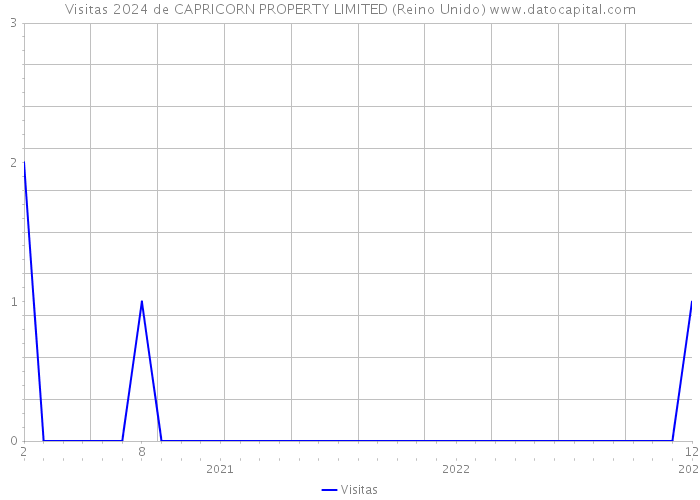 Visitas 2024 de CAPRICORN PROPERTY LIMITED (Reino Unido) 