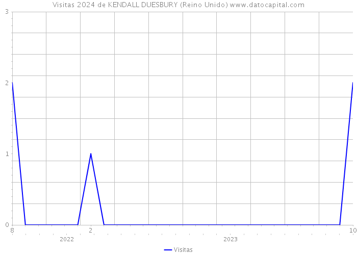 Visitas 2024 de KENDALL DUESBURY (Reino Unido) 