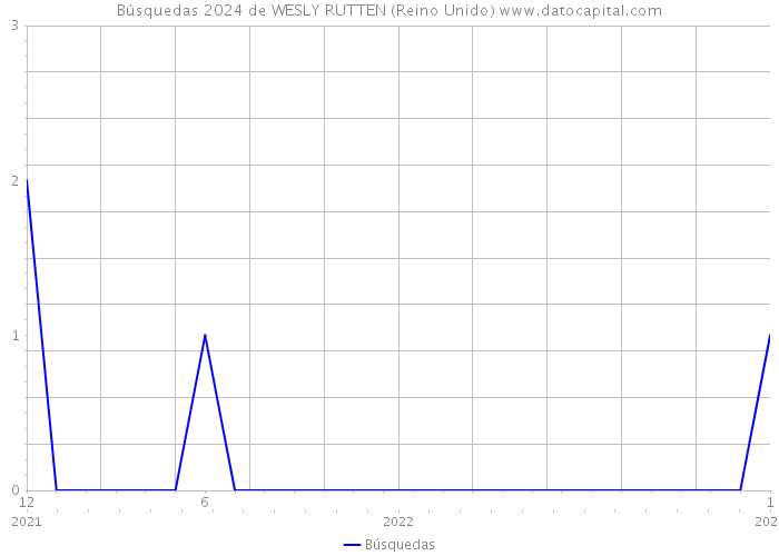 Búsquedas 2024 de WESLY RUTTEN (Reino Unido) 