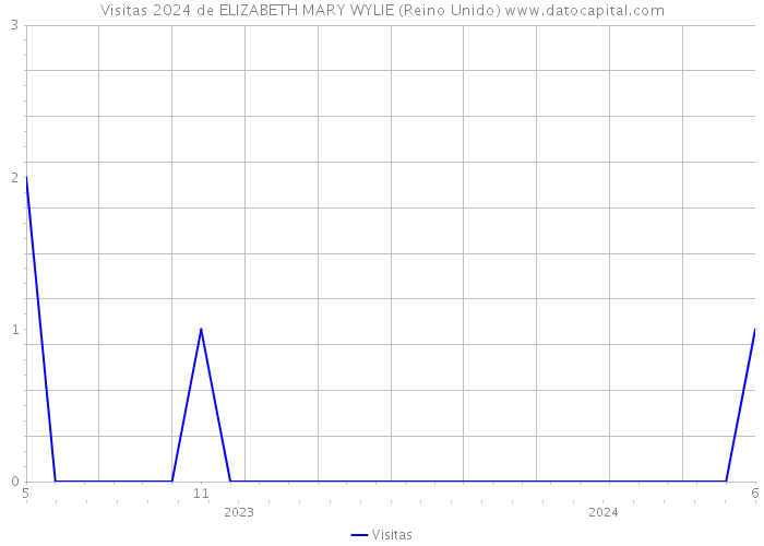 Visitas 2024 de ELIZABETH MARY WYLIE (Reino Unido) 