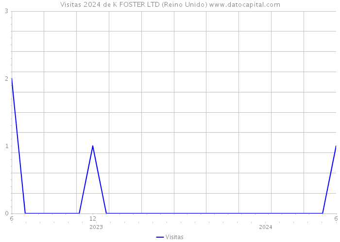 Visitas 2024 de K FOSTER LTD (Reino Unido) 