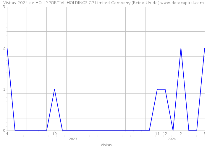 Visitas 2024 de HOLLYPORT VII HOLDINGS GP Limited Company (Reino Unido) 