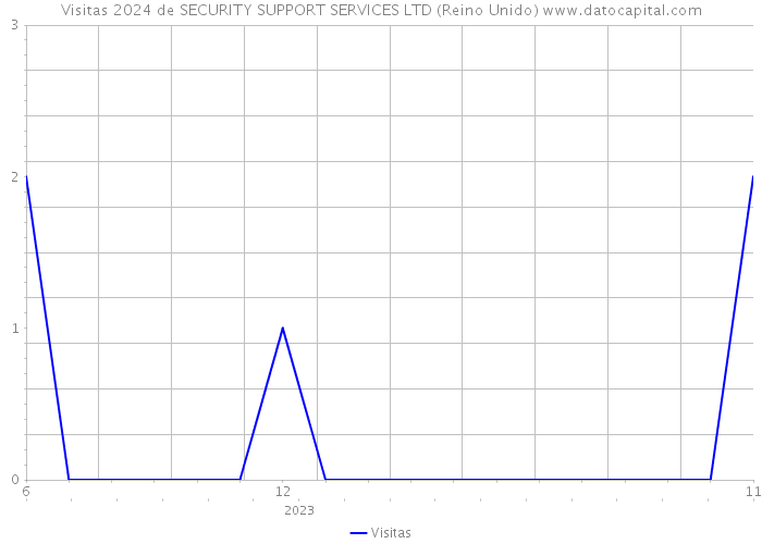 Visitas 2024 de SECURITY SUPPORT SERVICES LTD (Reino Unido) 