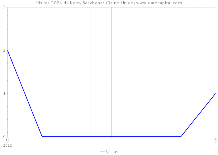 Visitas 2024 de Kerry Beechener (Reino Unido) 