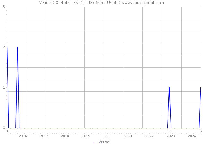 Visitas 2024 de TEK-1 LTD (Reino Unido) 