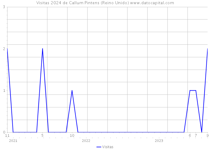 Visitas 2024 de Callum Pintens (Reino Unido) 