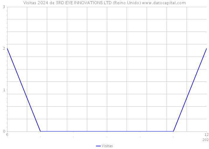 Visitas 2024 de 3RD EYE INNOVATIONS LTD (Reino Unido) 