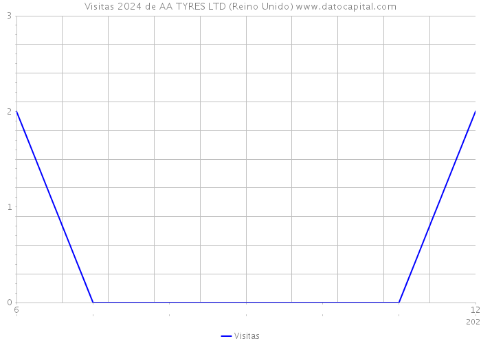 Visitas 2024 de AA TYRES LTD (Reino Unido) 