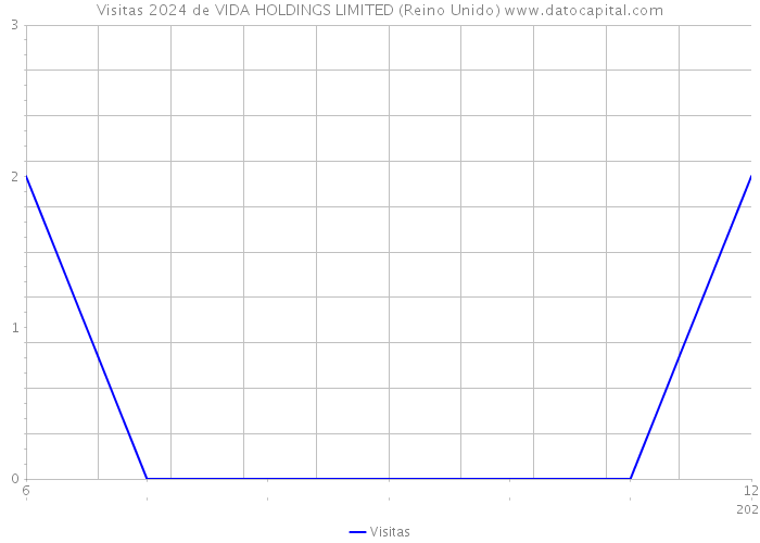 Visitas 2024 de VIDA HOLDINGS LIMITED (Reino Unido) 