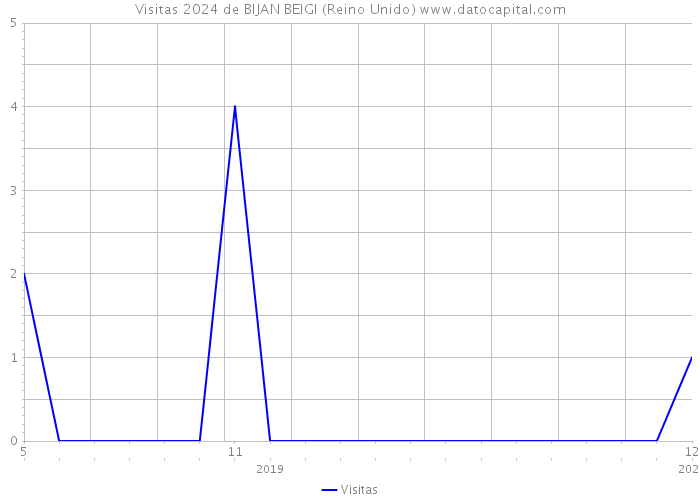 Visitas 2024 de BIJAN BEIGI (Reino Unido) 