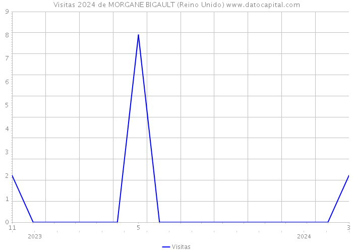 Visitas 2024 de MORGANE BIGAULT (Reino Unido) 