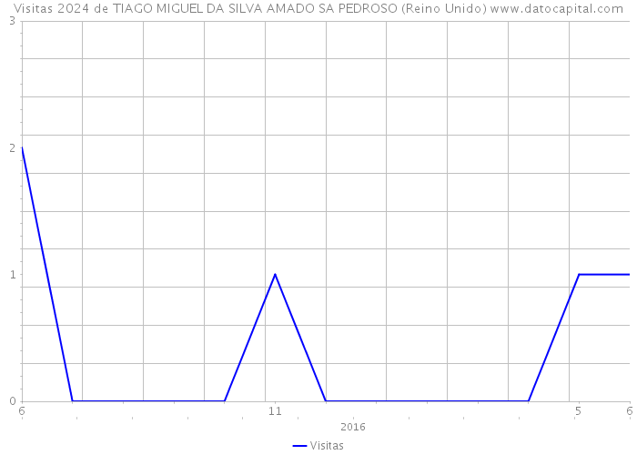 Visitas 2024 de TIAGO MIGUEL DA SILVA AMADO SA PEDROSO (Reino Unido) 