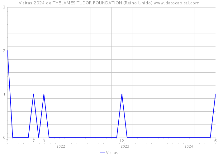 Visitas 2024 de THE JAMES TUDOR FOUNDATION (Reino Unido) 