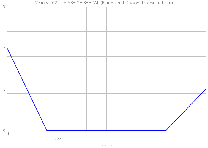 Visitas 2024 de ASHISH SEHGAL (Reino Unido) 