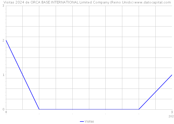 Visitas 2024 de ORCA BASE INTERNATIONAL Limited Company (Reino Unido) 