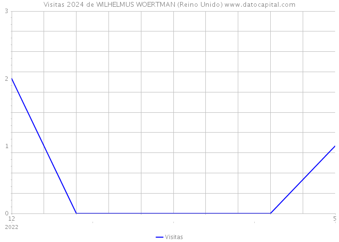 Visitas 2024 de WILHELMUS WOERTMAN (Reino Unido) 