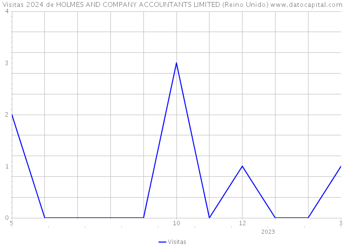 Visitas 2024 de HOLMES AND COMPANY ACCOUNTANTS LIMITED (Reino Unido) 