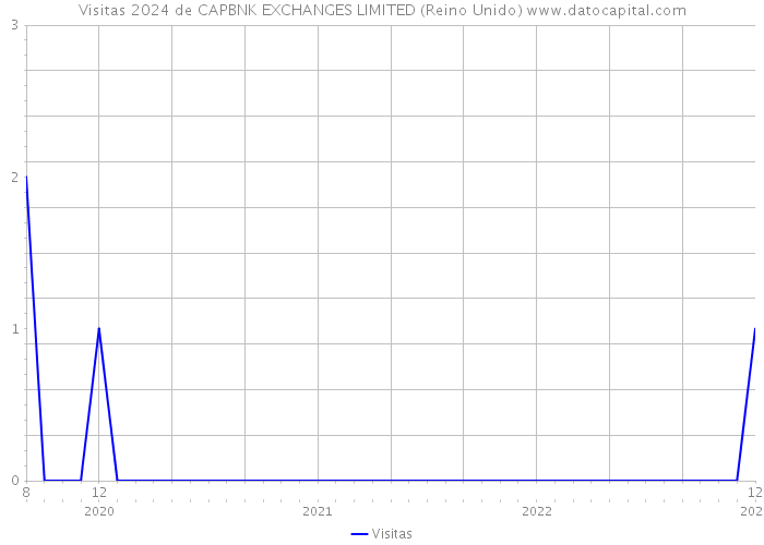 Visitas 2024 de CAPBNK EXCHANGES LIMITED (Reino Unido) 