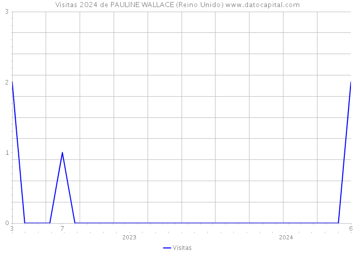 Visitas 2024 de PAULINE WALLACE (Reino Unido) 