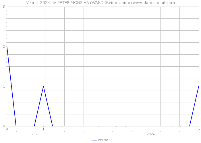 Visitas 2024 de PETER MONS HAYWARD (Reino Unido) 