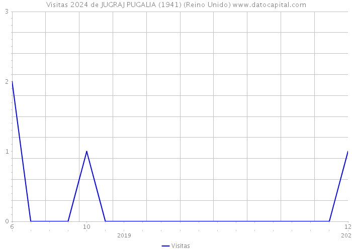 Visitas 2024 de JUGRAJ PUGALIA (1941) (Reino Unido) 