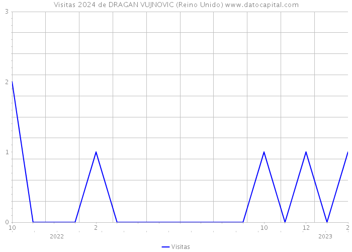 Visitas 2024 de DRAGAN VUJNOVIC (Reino Unido) 