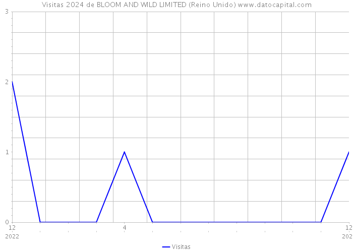 Visitas 2024 de BLOOM AND WILD LIMITED (Reino Unido) 